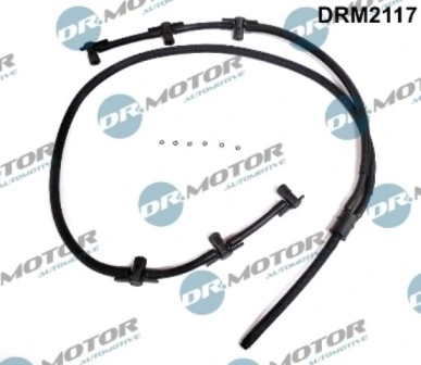 DRM2117 Lizarte