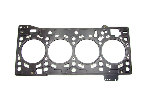 DRM21251 Lizarte