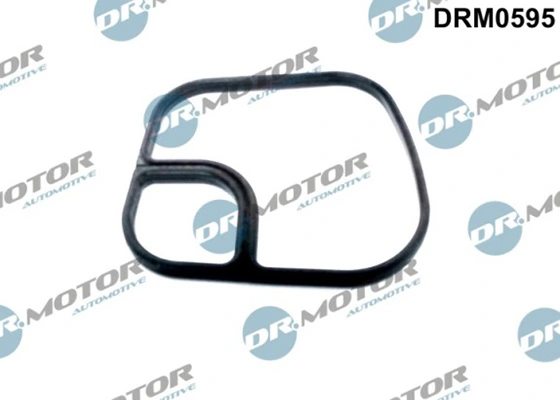 DRM0595 Lizarte