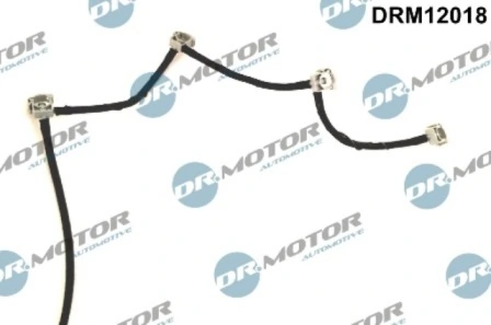 DRM12018 Lizarte
