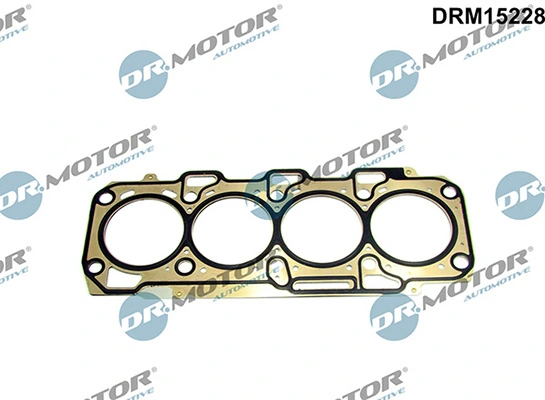DRM15228 Lizarte