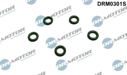 DRM0301S Lizarte