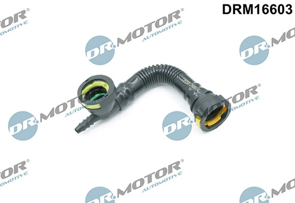 DRM16603 Lizarte