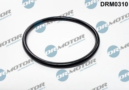 DRM0310 Lizarte