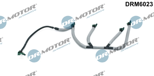 DRM6023 Lizarte