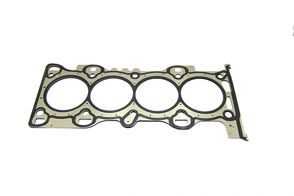 DRM8203 Lizarte