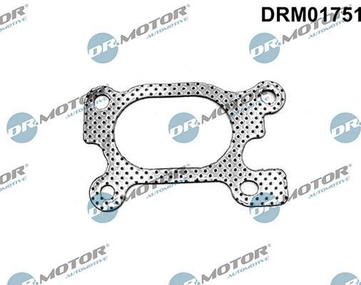 DRM01751 Lizarte
