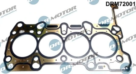 DRM72001 Lizarte