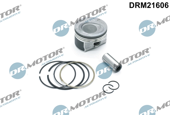 DRM21606 Lizarte