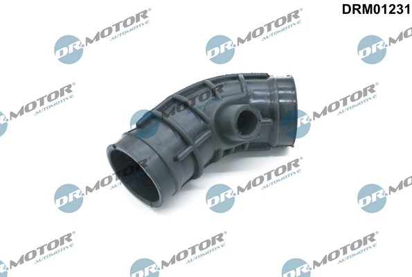 DRM01231 Lizarte