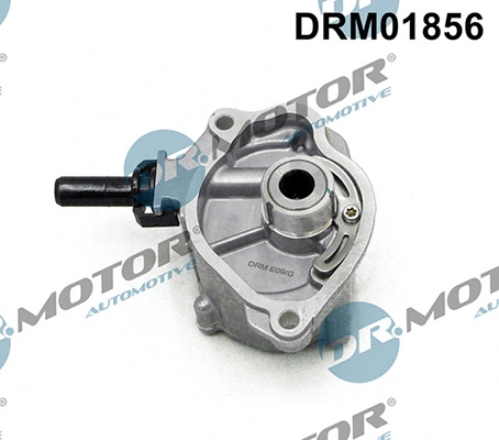DRM01856 Lizarte