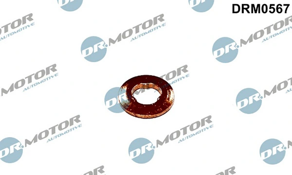 DRM0567 Lizarte