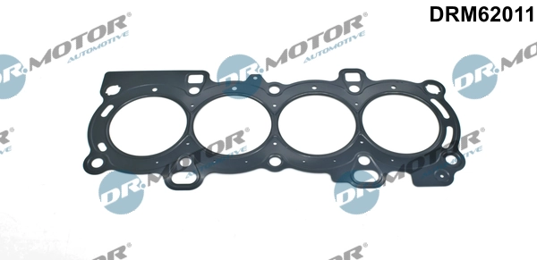 DRM62011 Lizarte