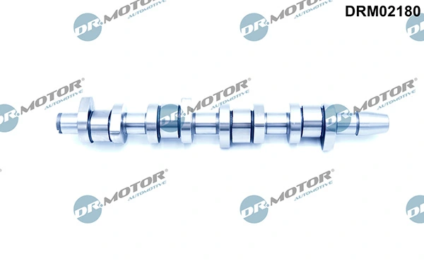 DRM02180 Lizarte