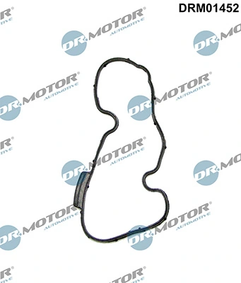 DRM01452 Lizarte