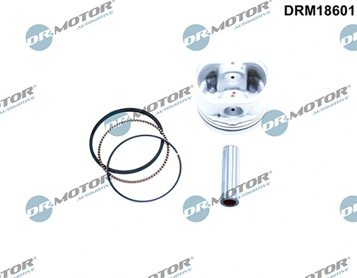 DRM18601 Lizarte