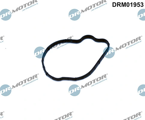 DRM01953 Lizarte