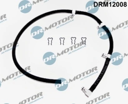 DRM12008 Lizarte