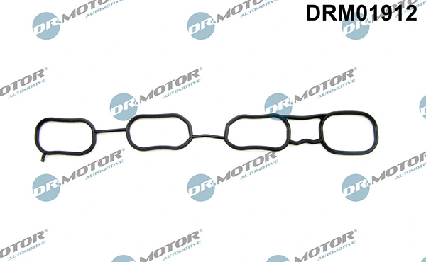 DRM01912 Lizarte