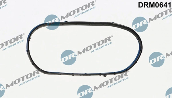 DRM0641 Lizarte