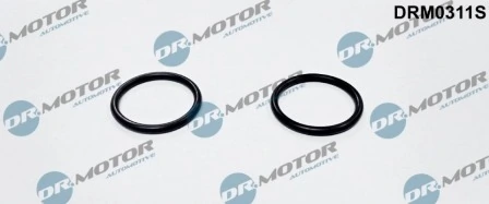 DRM0311S Lizarte
