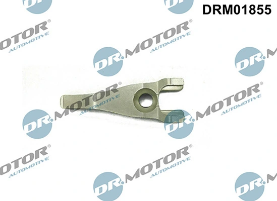 DRM01855 Lizarte