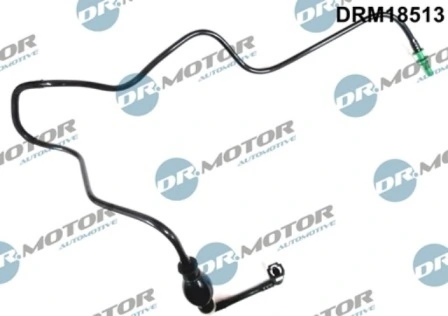 DRM18513 Lizarte