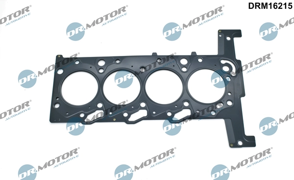 DRM16215 Lizarte