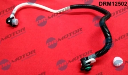 DRM12502 Lizarte