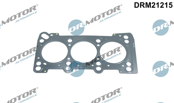 DRM21215 Lizarte