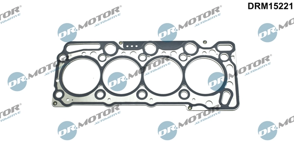 DRM15221 Lizarte