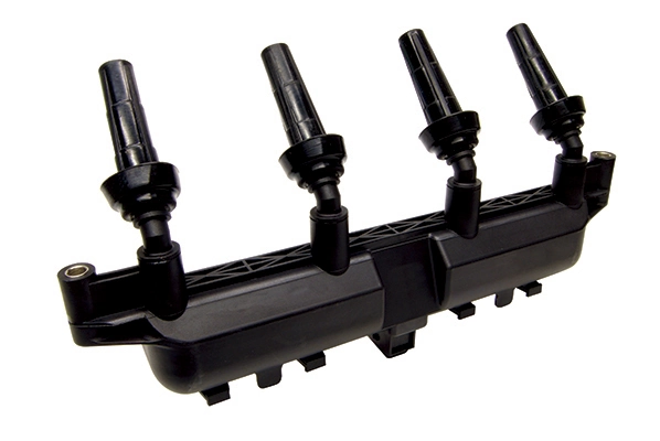 BOBEN015 Lizarte