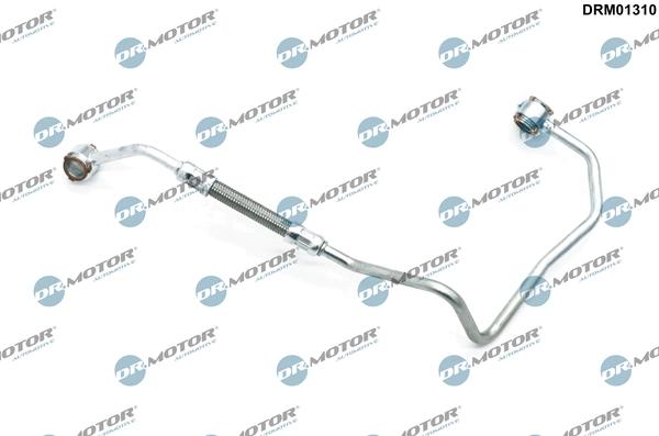 DRM01310 Lizarte