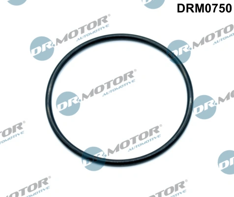 DRM0750 Lizarte