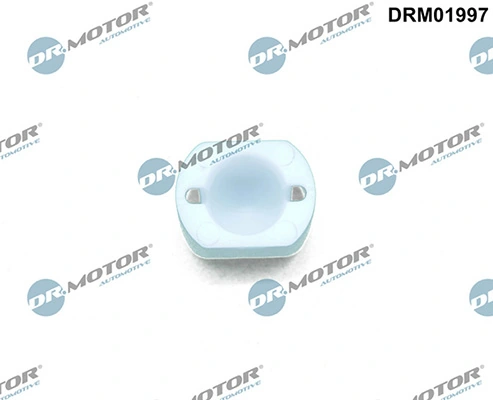 DRM01997 Lizarte