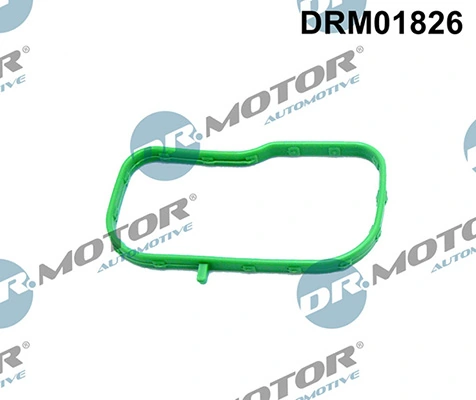 DRM01826 Lizarte
