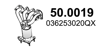 500019 Asso