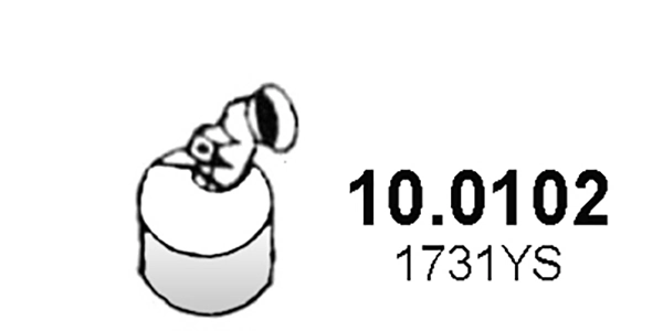 100102 Asso