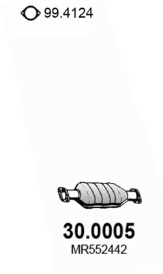 300005 Asso