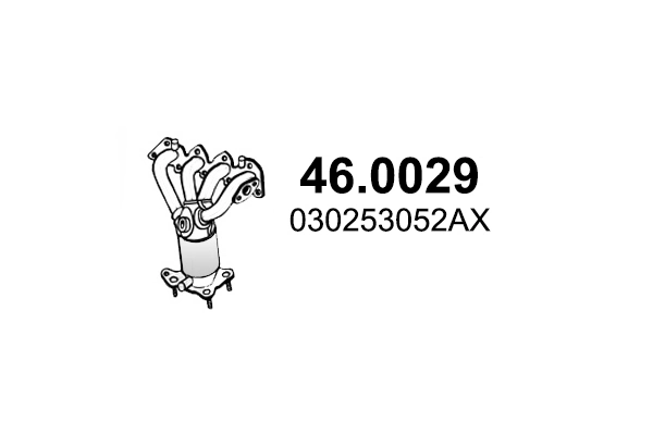 460029 Asso