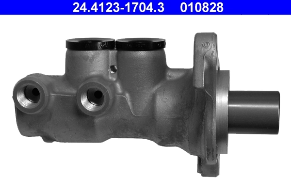 Comprar Cilindro principal de freno Citroen C3 SH a bajo precio