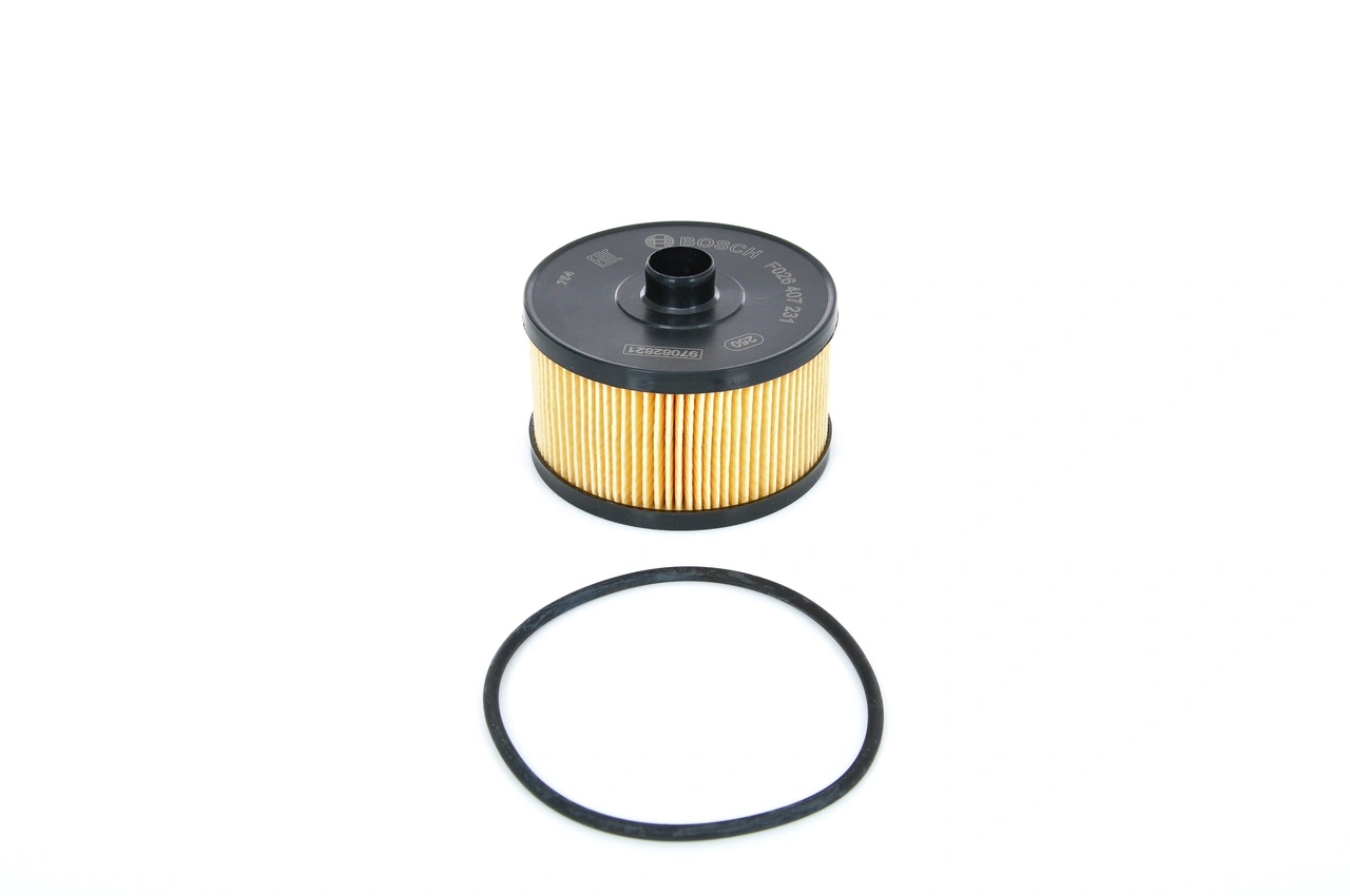 F026407231 Bosch Filtro aceite