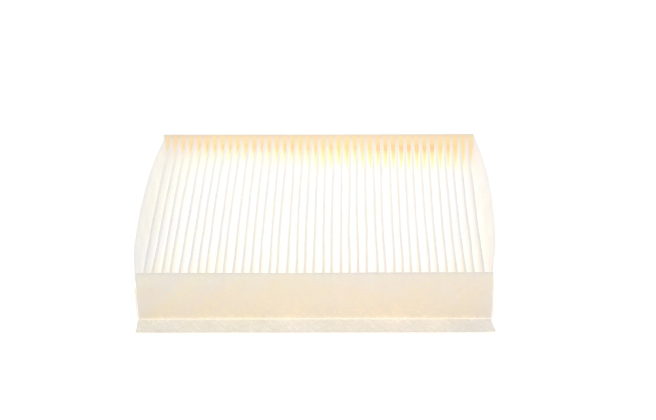 1987432228 Bosch Filtro antipolen