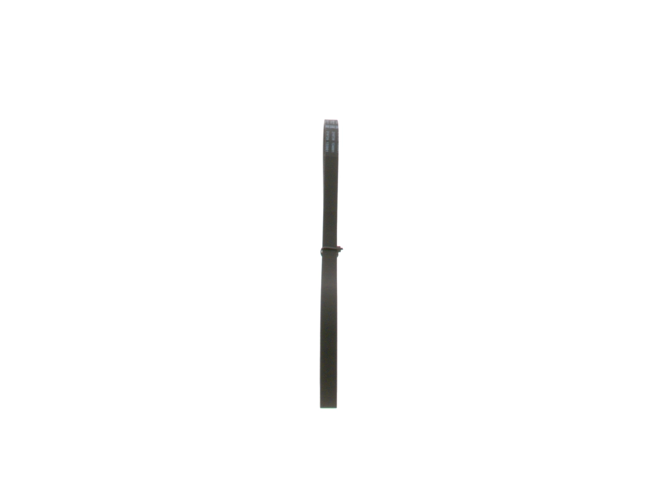 1987947895 Bosch Correa poly v