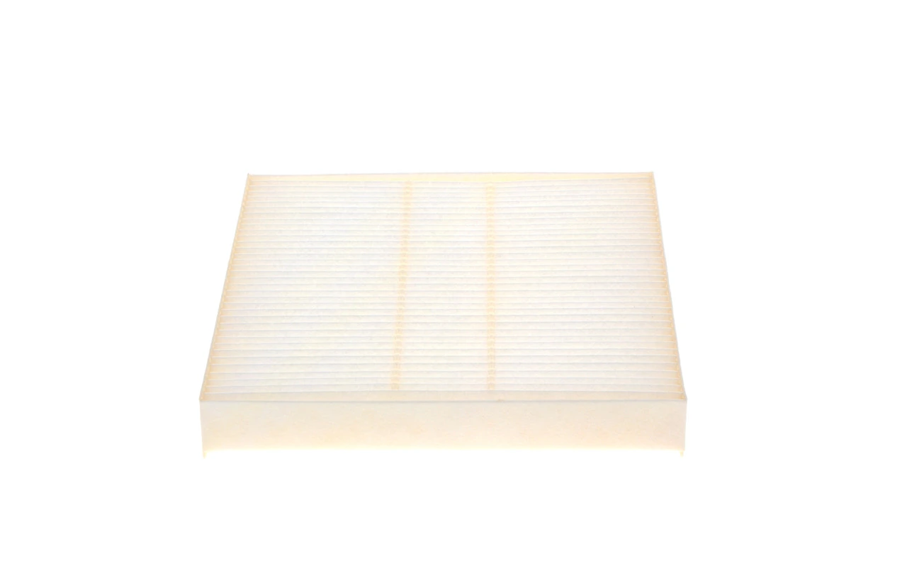1987432216 Bosch Filtro antipolen
