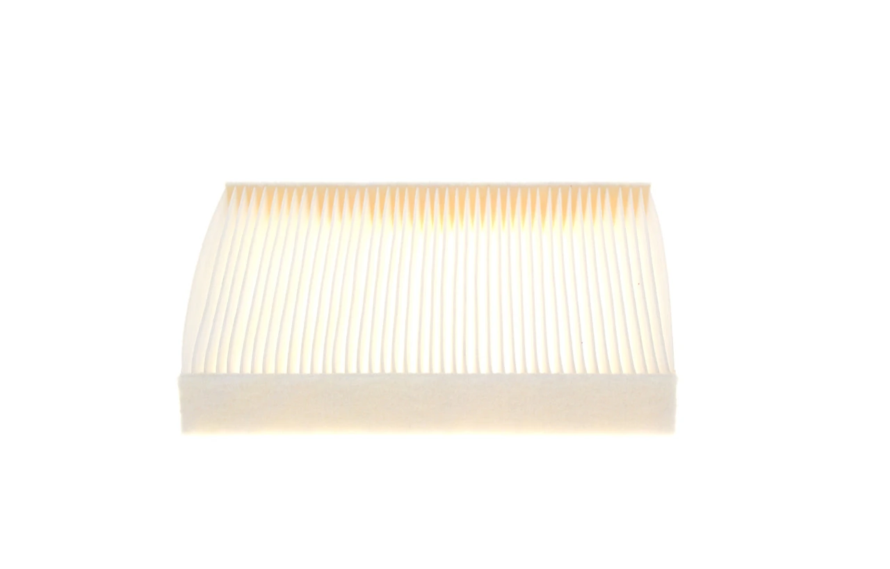 1987435071 Bosch Filtro antipolen