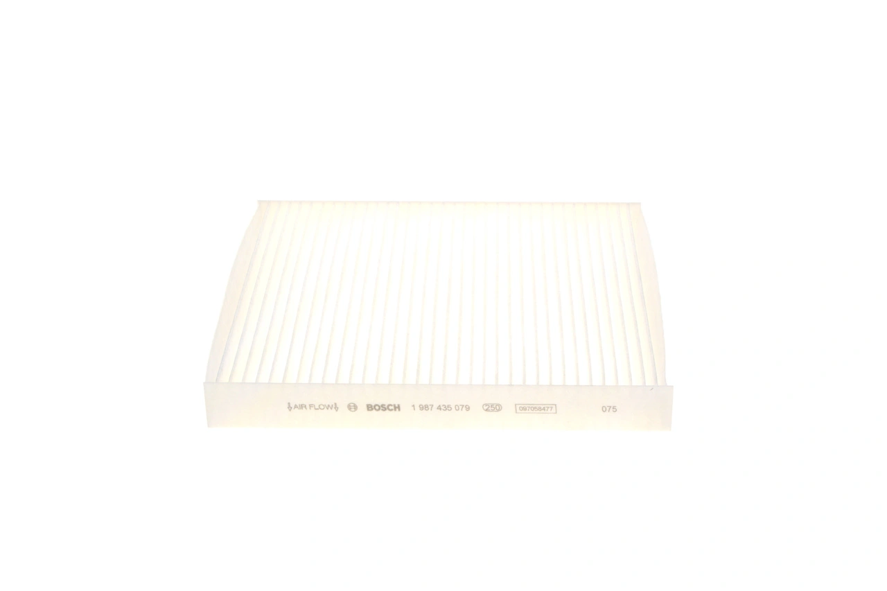 1987435079 Bosch Filtro antipolen