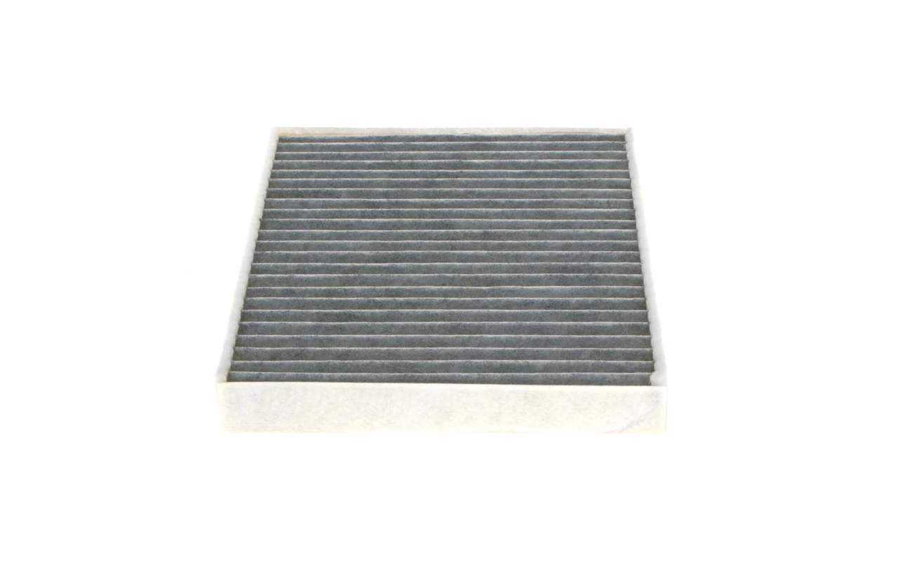 1987432361 Bosch Filtro antipolen