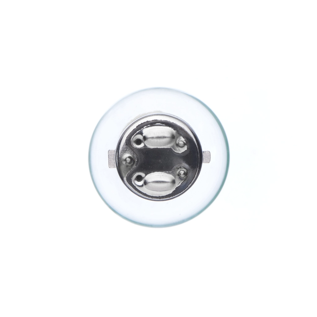 Bombilla 1987302105 Bosch