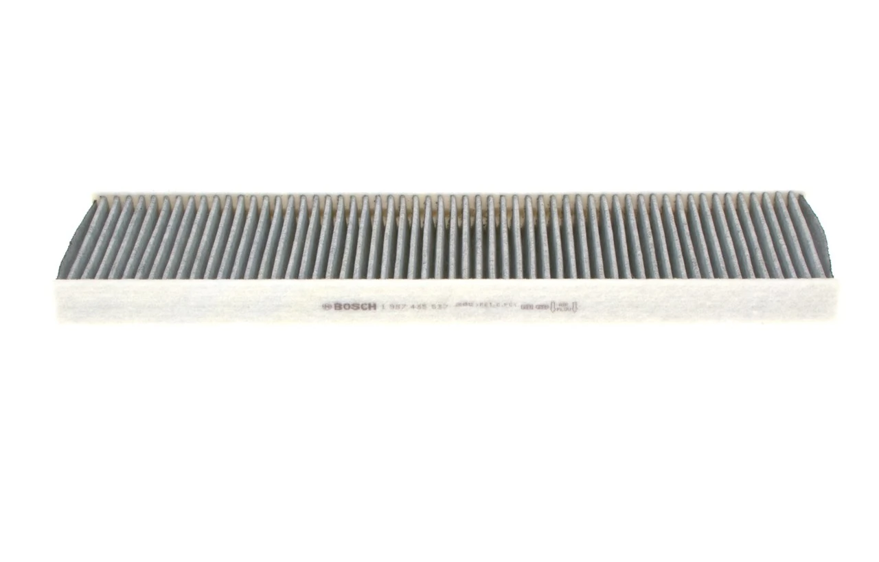 1987435537 Bosch Filtro antipolen